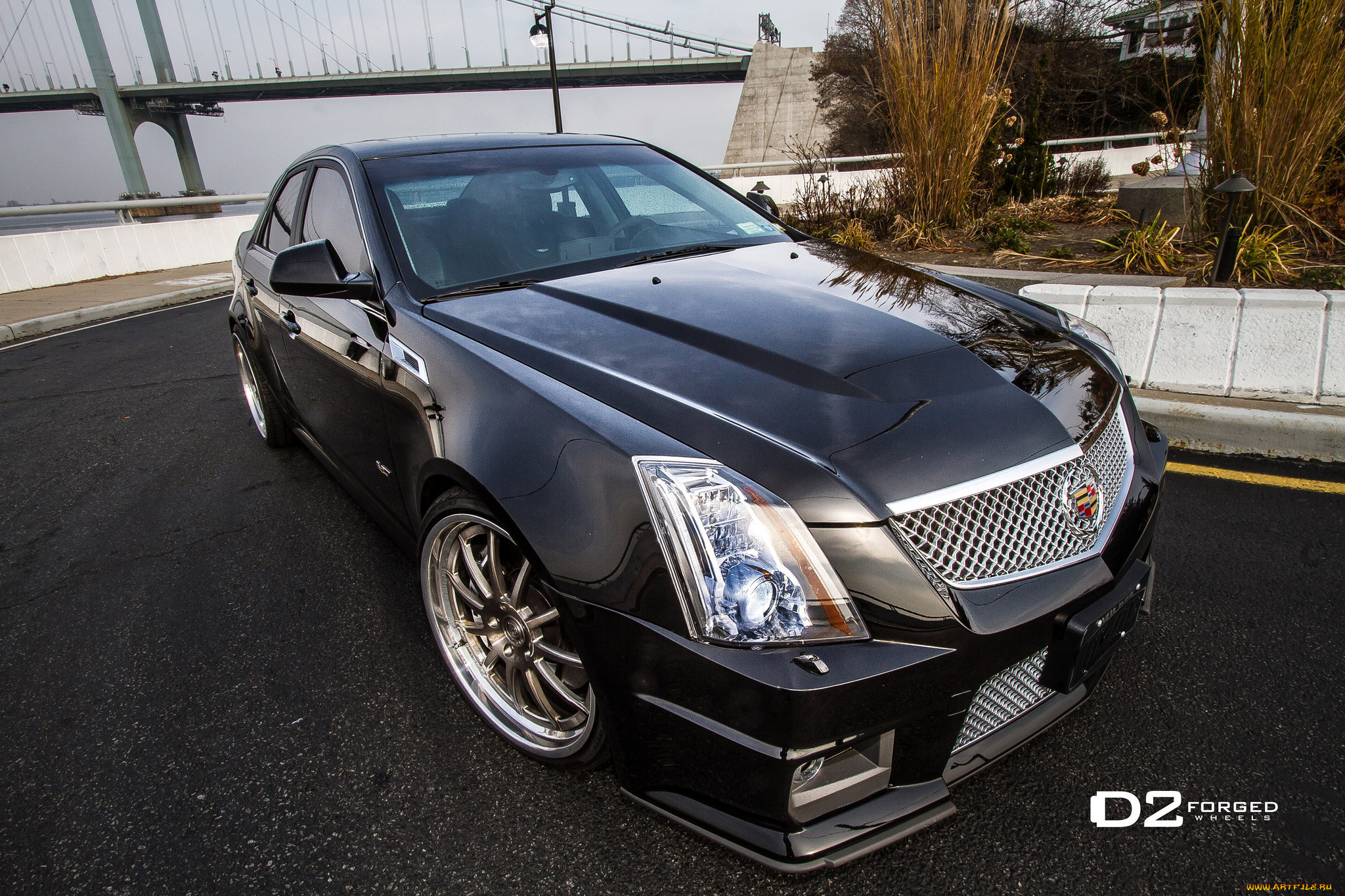 d2forged-cadillac-cts-v-fms, , cadillac